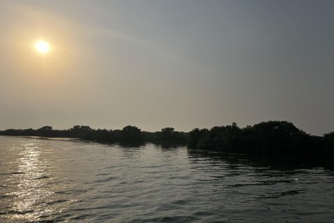 Land de 111484m²  No. 123790 5