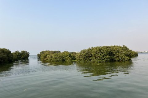 Land de 111484m²  No. 123790 13