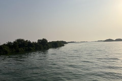 Land de 111484m²  No. 123790 4