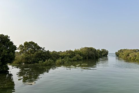 Land de 111484m²  No. 123790 25