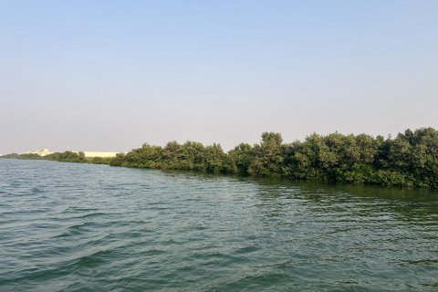 Land de 111484m²  No. 123790 2