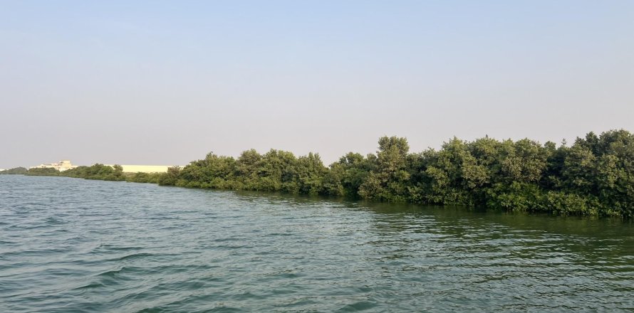 Land de 111484m²  No. 123790