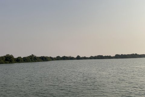 Land de 111484m²  No. 123790 10