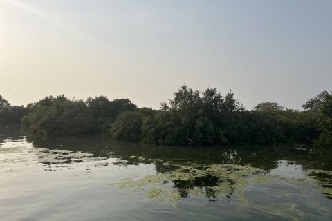 Land de 111484m²  No. 123790 23