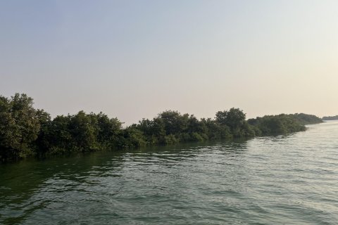 Land de 111484m²  No. 123790 6