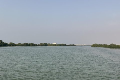 Land de 111484m²  No. 123790 20