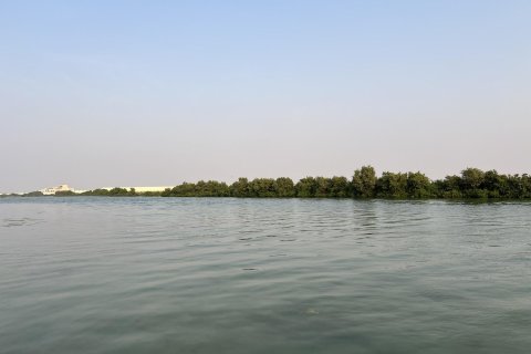 Land de 111484m²  No. 123790 14