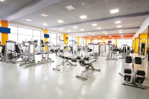 Studio Apartment in Dubai Sports City, UAE No. 206480 8