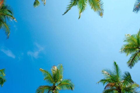 Townhouse de 4 dormitorios en The World Islands, UAE No. 144785 17