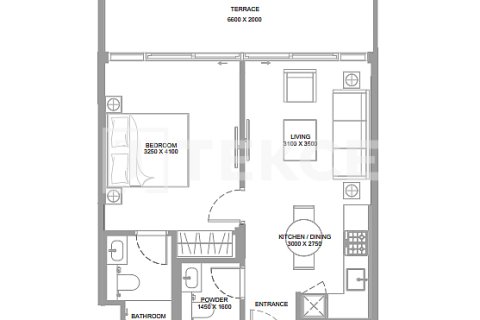 Appartement de 1 chambre  No. 127021 11