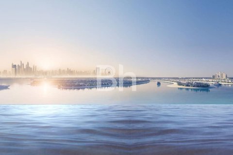 4 غرف نوم شقة  رقم 113551 6
