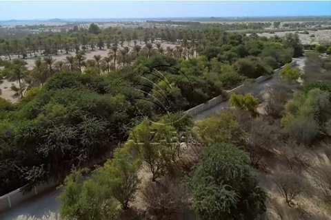 756m² Land in Ghantoot, UAE No. 27804 6