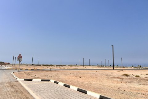 Земельный участок 900м²  №124469 3