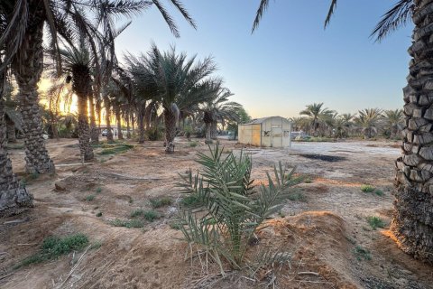 Недвижимость с 3 спальнями  №124466 3