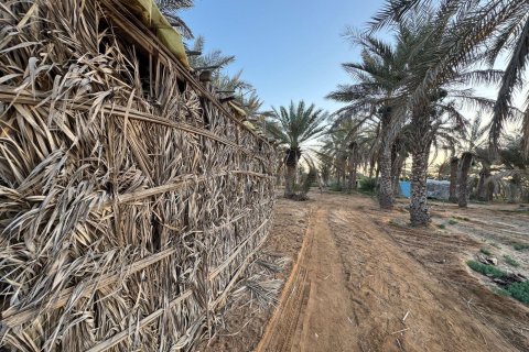 Недвижимость с 3 спальнями  №124466 7