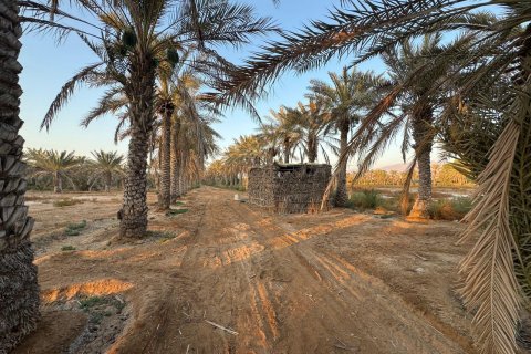 Недвижимость с 3 спальнями  №124466 5