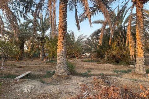 Недвижимость с 3 спальнями  №124466 4