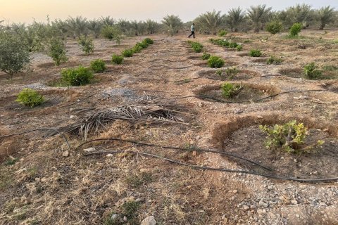 Недвижимость с 2 спальнями  №124467 3