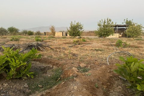 Недвижимость с 2 спальнями  №124467 4