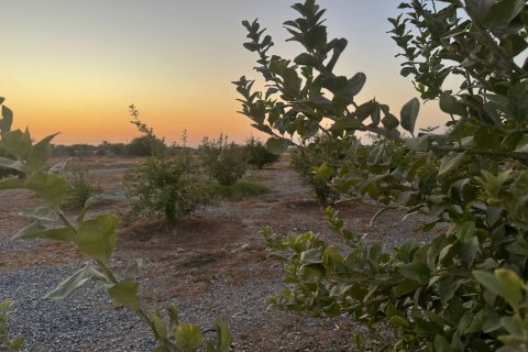 Недвижимость с 2 спальнями  №124467 2