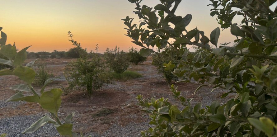 Недвижимость с 2 спальнями  №124467