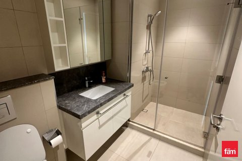 Apartment de 2 dormitorios en Downtown Dubai (Downtown Burj Dubai), UAE No. 134239 14