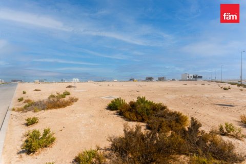 Land de 916.3m²  No. 126005 11