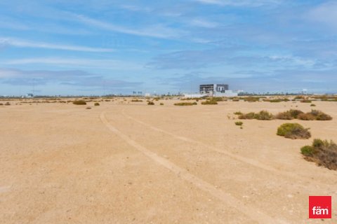 Land de 916.3m²  No. 126005 2