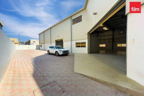 1909.2مربع، دور علوي  رقم 126142 3