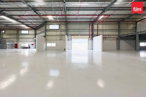 1909.2مربع، دور علوي  رقم 126142 11