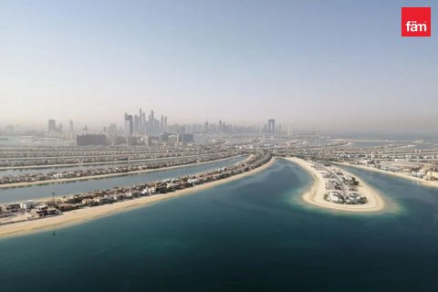 2347.7مربع، قطعة أرض في Palm Jebel Ali, الإمارات العربية المتحدة رقم 167454 7