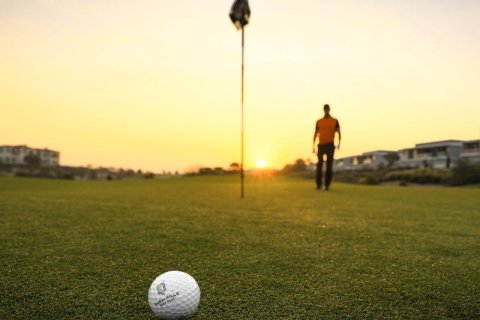 Квартира с 1 спальней в Дубай, ОАЭ №150127 15