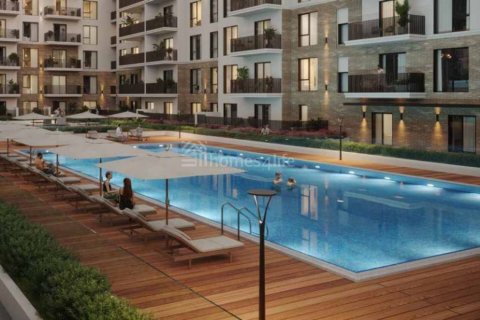 2 bedrooms Apartment in Town Square, UAE No. 186133 7