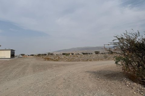 Land de 1784m² en Seih Al Harf, UAE No. 172107 5