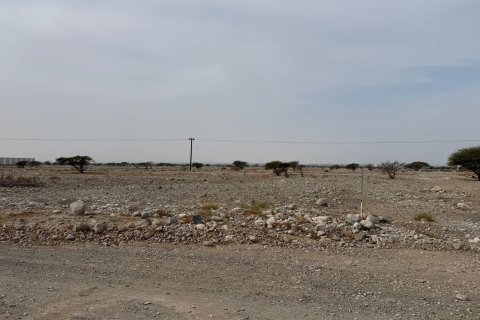 Land de 1784m² en Seih Al Harf, UAE No. 172107 6