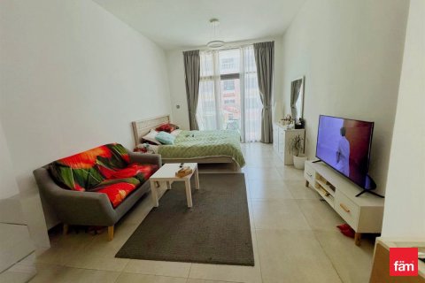 Studio Apartment in Dubai, UAE No. 169579