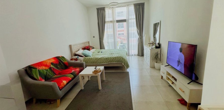 Studio Apartment in Dubai, UAE No. 169579