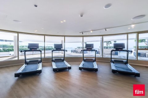 1 bedroom Apartment in Dubai Harbour, UAE No. 43666 6