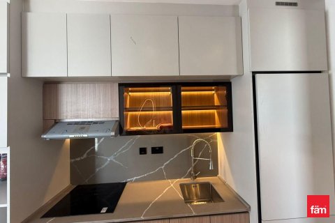 44.1m² Apartment in Dubai, UAE No. 169591 10
