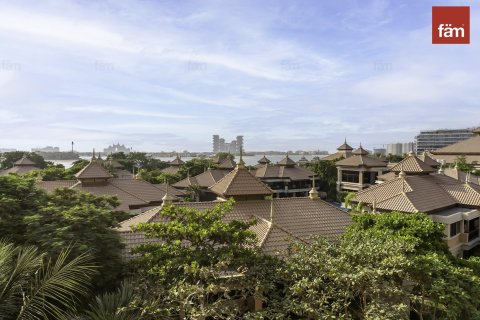 1 bedroom Apartment  No. 117950 3