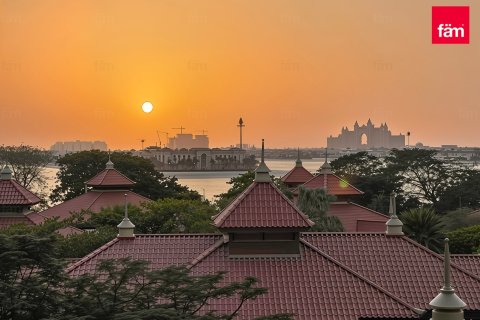 1 bedroom Apartment  No. 117950 2