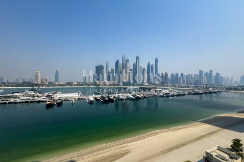 Квартира с 1 спальней в Dubai Harbour, ОАЭ №118839 6
