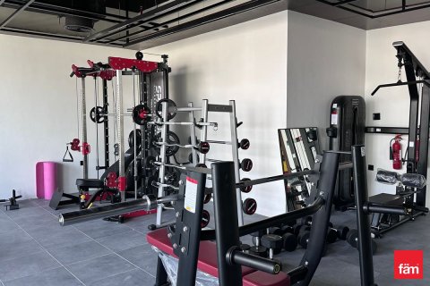 1 غرف نوم شقة  رقم 126201 18