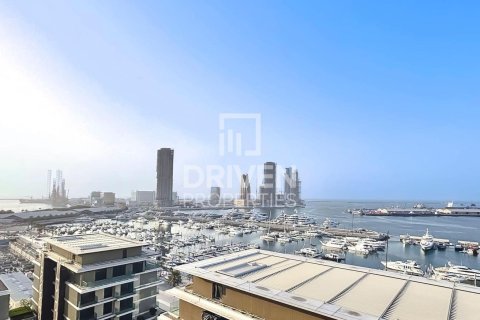 3 bedrooms Apartment in Mina Rashid, UAE No. 193251
