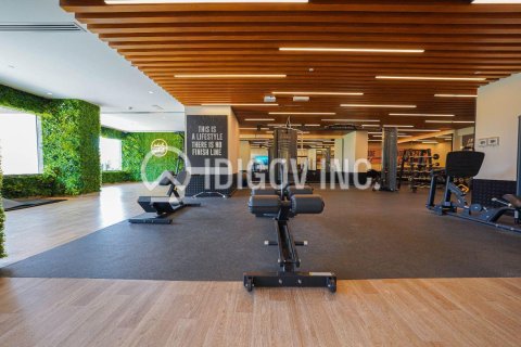 1 bedroom Apartment in Downtown Dubai (Downtown Burj Dubai), UAE No. 136281 5