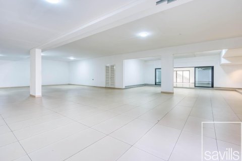 7 bedrooms Villa in Parkway Vistas, UAE No. 194334 21