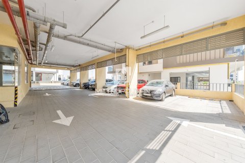 Commercial property de 12 dormitorios No. 129329 16