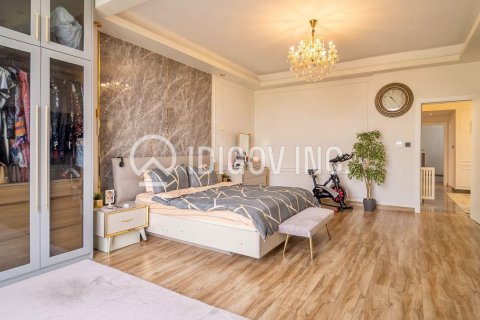 Villa de 4 chambres  No. 109845 12