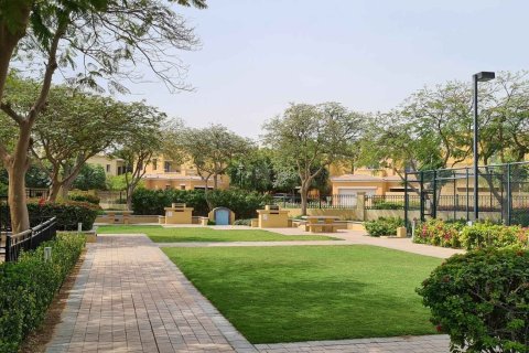 PALMERA 4  No. 69730