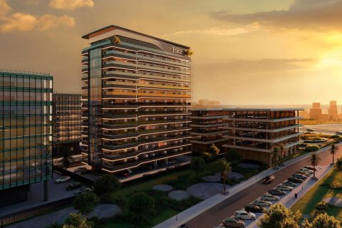 Wadi Hills  No. 118127